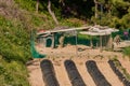 Large brown dogs chained next to dog house