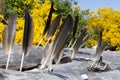 Large Brown Eagle Feather and Driftwood Log Royalty Free Stock Photo