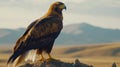 A large brown eagle is perched on a rock in a desert. Generative AI Royalty Free Stock Photo