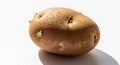 A large brown potato with small sprouts on a white background with shadow Royalty Free Stock Photo