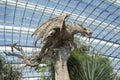 Large brown statue of a dragon inside of Flower Dome, Singapore