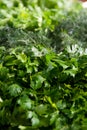 Large bunch of dill and parsley.