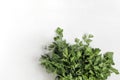 A large bunch of fresh organic green parsley, dill on a white background. Royalty Free Stock Photo