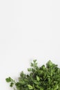 A large bunch of fresh organic green parsley, dill on a white background. Royalty Free Stock Photo