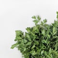 A large bunch of fresh organic green parsley, dill on a white background. Garden greens, spicy herbs, ingredients for cooking. Royalty Free Stock Photo