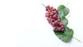 Close up and top view  A bunch of black and purple grapes with fresh green leaves on a white background. Royalty Free Stock Photo