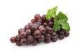 Large bunch fresh ripe organic red grape with leaves on white isolated background with clipping path. Red grape have sweet taste, Royalty Free Stock Photo