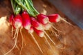 Large bunch of raw fresh juicy garden radish on wooden board Royalty Free Stock Photo