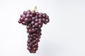 A large bunch of red grapes with water droplets on fresh grapes on a white background Royalty Free Stock Photo