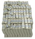 Large bundle of US dollars