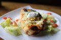 Large Burrito on a white plate Royalty Free Stock Photo