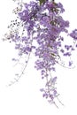 Large bush tree purple flower isolated on white background. Royalty Free Stock Photo