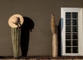 Large cacti on the background of the wall and hats, Texas