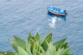 large cactus above the sea with boat in the back Royalty Free Stock Photo