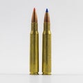 Large caliber bullet types