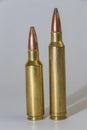 Large caliber bullets 300 WSM and 300 WIN Royalty Free Stock Photo