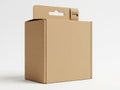 A large cardboard box with a smaller box on top and an open flap Royalty Free Stock Photo
