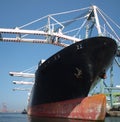 Large Cargo Ship is being Loaded Royalty Free Stock Photo
