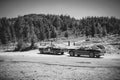 Large cars are traveling down a winding dirt road surrounded by tall trees