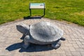 Large carved stone diamondback terrapin