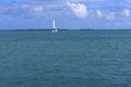 Large Catamaran Sailing on the Caribbean Sea