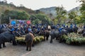 Large catering fruit buffet Khantok Chang for elephants on Thai Elephant Day