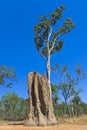 Large cathedral termite mounds Royalty Free Stock Photo