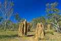 Large cathedral termite mounds Royalty Free Stock Photo