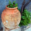 Large Ceramic Pot Royalty Free Stock Photo
