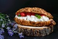 Large cereal croissant with cottage cheese and fresh strawberries on a dark background. Royalty Free Stock Photo