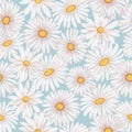 Large chamomile flowers. Vintage seamless pattern in a watercolor style.