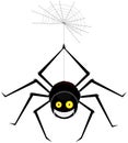 A large charming smiling spider wove a web and hanging down on it from the ceiling, on an isolated background.