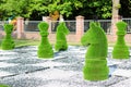 Large chess pieces decorated with green grass Royalty Free Stock Photo