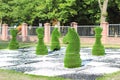 Large chess pieces decorated with green grass Royalty Free Stock Photo