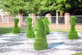 Large chess pieces decorated with green grass Royalty Free Stock Photo