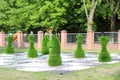 Large chess pieces decorated with green grass Royalty Free Stock Photo