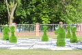 Large chess pieces decorated with green grass Royalty Free Stock Photo