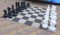 Large chess pieces in the park Royalty Free Stock Photo