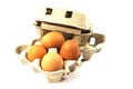 Large chicken eggs in a cardboard box isolated on a white background Royalty Free Stock Photo