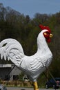 Large chicken statue on side of road in North Carolina