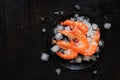 Large chilled shrimp in a plate with ice on a dark wooden background. Boiled shrimp