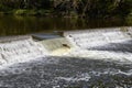 Salmon Fall Migration Royalty Free Stock Photo