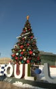 Large Christmas/New Years tree and Ice skating rink in front of Seoul City Hall