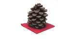 large Christmas pine cone napkin white background Royalty Free Stock Photo