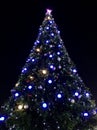 Large christmas tree decorated on a black background. Christmas tree with multi-colored garlands on the square in the evening Royalty Free Stock Photo