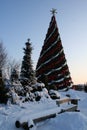 Large christmas tree