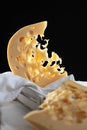 Large chunks of hard maasdam cheese on a black background. Cheese with lots of holes. Dutch Maasdamer cheese in a white wooden box Royalty Free Stock Photo