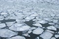 Large chunks of ice float on the surface of the water.