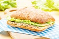 Large ciabatta sandwich with tuna, green, apple and cucumber