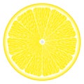 Large circle of lemon Royalty Free Stock Photo